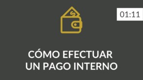 ES - 305 - In-house payment