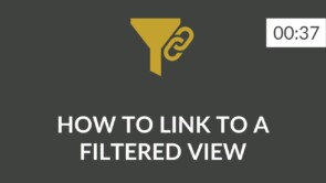EN - 211 - Filtered View link