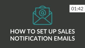 EN - P5 - How to set up sales notification emails